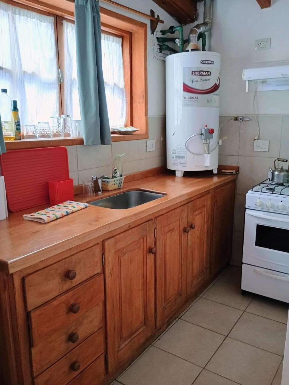 Departamento Lolog Apartman San Martín de los Andes Kültér fotó